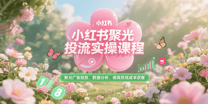 小红书聚光投流实操课程，聚光广告投放、数据分析、做高效低成本获客-中创网_分享创业项目_互联网资源