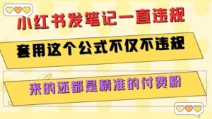 小红书发笔记一直违规，套用这个公式不仅不违规，来的还都是精准的付费粉-中创网_分享创业项目_互联网资源