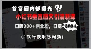 首富圈内部曝光小红书垂直图文引流新课，日吸300+创业粉，日入8张+，限时获取防封禁-中创网_分享创业项目_互联网资源