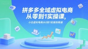 拼多多全域虚拟电商从零到1实操课，小白虚拟电商从0到1实操到精通-中创网_分享创业项目_互联网资源