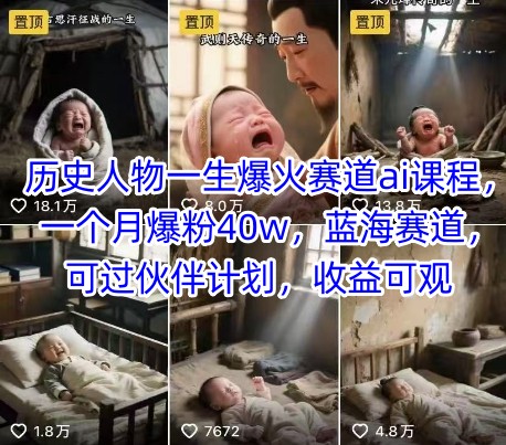 历史人物一生爆火赛道ai课程，一个月爆粉40w，蓝海赛道，可过伙伴计划，收益可观-中创网_分享创业项目_互联网资源