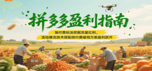 拼多多盈利指南：强付费玩法挖掘流量红利，活动爆流技术搭配微付费方案实现盈利跃升-中创网_分享创业项目_互联网资源