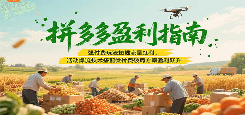 拼多多盈利指南：强付费玩法挖掘流量红利，活动爆流技术搭配微付费方案实现盈利跃升-中创网_分享创业项目_互联网资源