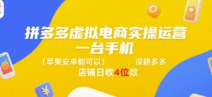 拼多多虚拟电商实操运营，一台手机(苹果安卓都可以)，深耕多多店铺日收4位数-中创网_分享创业项目_互联网资源