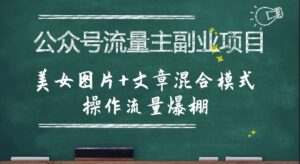 公众号流量主副业项目，美女图片+文章混合模式操作流量爆棚-中创网_分享创业项目_互联网资源