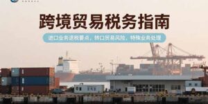 （15381期）跨境贸易税务指南，进口业务退税要点，转口贸易风险，特殊业务处理-中创网_分享创业项目_互联网资源