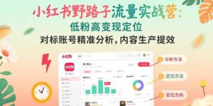 （15423期）小红书野路子流量实战营：低粉高变现定位 对标账号精准分析 内容生产提效-中创网_分享创业项目_互联网资源
