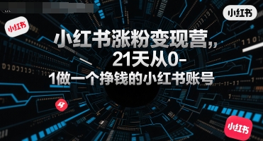 小红书涨粉变现营，21天从0-1做一个挣钱的小红书账号-中创网_分享创业项目_互联网资源