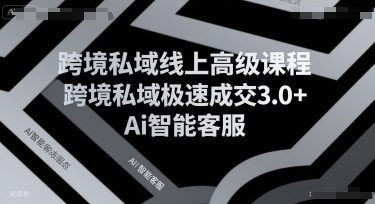 跨境私域线上高级课程，跨境私域极速成交3.0+Ai智能客服-中创网_分享创业项目_互联网资源