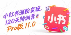 （15432期）小红书涨粉变现120天特训营Pro版11.0：从0到1掌握平台运营,内容制作和变现-中创网_分享创业项目_互联网资源