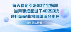 每天稳定引流30个人 当月变成超过了4个W项目流程非常简单适合小白-中创网_分享创业项目_互联网资源