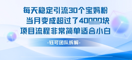每天稳定引流30个人 当月变成超过了4个W项目流程非常简单适合小白-中创网_分享创业项目_互联网资源