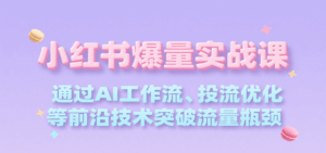 小红书爆量实战课，通过AI工作流、投流优化等前沿技术突破流量瓶颈-中创网_分享创业项目_互联网资源