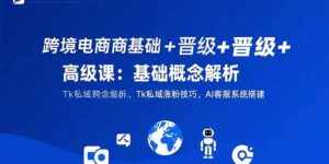 （15496期）跨境电商基础+晋级+高级课：基础概念解析,Tk私域涨粉技巧,AI客服系统搭建-中创网_分享创业项目_互联网资源