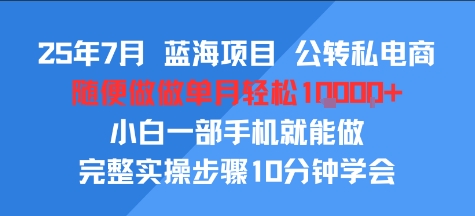 25年7月蓝海项目，公转私电商，随便做做单月轻松1w，小白一部手机就能做，完整实操步骤10分钟学会-中创网_分享创业项目_互联网资源