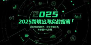 （15503期）2025跨境出海实战指南，并购全流程解析，自创营销体系，专家基本功训练-中创网_分享创业项目_互联网资源