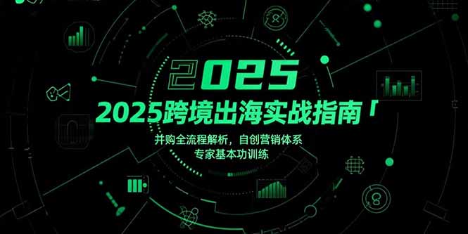 （15503期）2025跨境出海实战指南，并购全流程解析，自创营销体系，专家基本功训练-中创网_分享创业项目_互联网资源