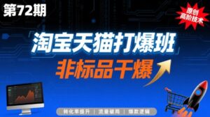 淘宝天猫打爆班原创高阶技术第72期，非标品干爆-中创网_分享创业项目_互联网资源