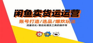 闲鱼卖货运营，账号打造/选品/爆款玩法/流量优化/售后处理及工具实操等-中创网_分享创业项目_互联网资源