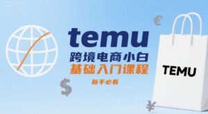 temu跨境电商小白基础入门课程，新手必看-中创网_分享创业项目_互联网资源