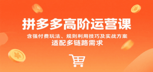 拼多多高阶运营课，含强付费玩法、规则利用技巧及实战方案，适配多链路需求-中创网_分享创业项目_互联网资源