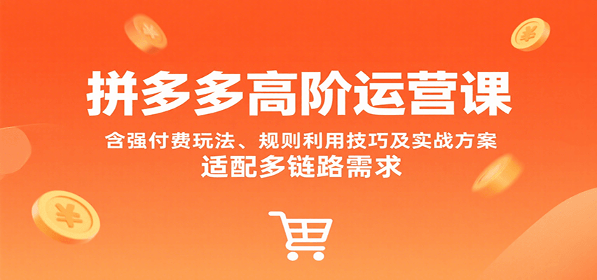 拼多多高阶运营课，含强付费玩法、规则利用技巧及实战方案，适配多链路需求-中创网_分享创业项目_互联网资源