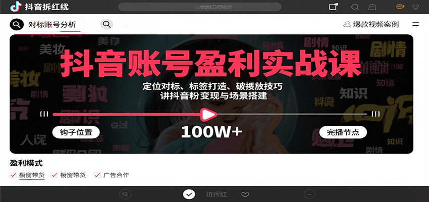 抖音账号盈利实战课，定位对标、标签打造、破播放技巧，讲涨粉变现与场景搭建-中创网_分享创业项目_互联网资源