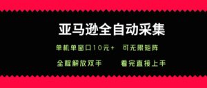 亚马逊全自动采集，单机单窗口一天10+，可无限矩阵去做-中创网_分享创业项目_互联网资源