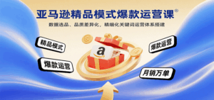 亚马逊精品模式爆款运营课：数据选品、品质差异化，精细化关键词运营体系搭建-中创网_分享创业项目_互联网资源
