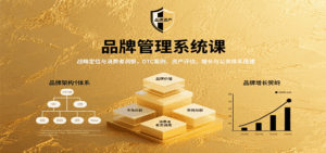 品牌管理系统课：战略定位与消费者洞察，DTC案例、资产评估，增长与公关体系搭建-中创网_分享创业项目_互联网资源