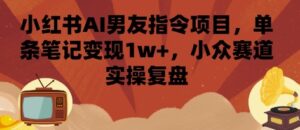 小红书AI男友指令项目，单条笔记变现1w+，小众赛道实操复盘-中创网_分享创业项目_互联网资源