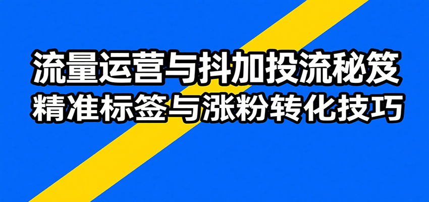 流量运营与抖加投流秘笈，含算法解析、爆款打造、精准标签与涨粉转化技巧-中创网_分享创业项目_互联网资源