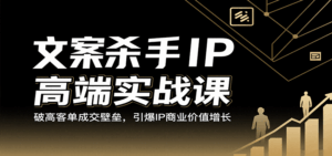 文案杀手IP高端实战课:破高客单成交壁垒,引爆IP商业价值增长-中创网_分享创业项目_互联网资源