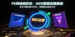 (15809期)TK跨境高阶班:ADS数据深度解析,常见问题诊断与优化,数据驱动选品方法-中创网_分享创业项目_互联网资源
