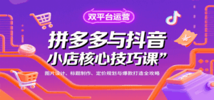 拼多多与抖音小店核心技巧课，图片设计、标题制作、定价规划与爆款打造全攻略-中创网_分享创业项目_互联网资源