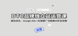DTC品牌独立站运营课:建站优化、Google Ads + 社媒推广与数据分析全攻略-中创网_分享创业项目_互联网资源