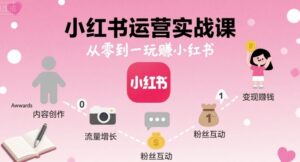 小红书运营实战课，从零到一玩賺小红书-中创网_分享创业项目_互联网资源