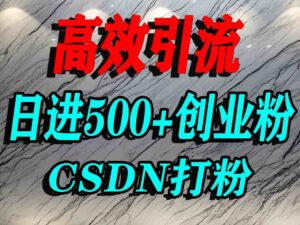怎么打创业粉？CSDN又一个你不知道的打粉引流神秘平台，单人日引500+精准流量-中创网_分享创业项目_互联网资源