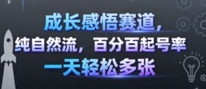 成长感悟赛道，纯自然流，百分百起号率 一天轻松多张-中创网_分享创业项目_互联网资源