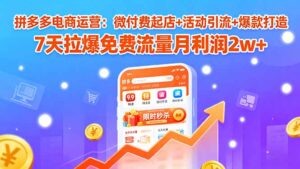 （15960期）拼多多电商运营：微付费起店+活动引流+爆款打造 7天拉爆免费流量月利润2w+-中创网_分享创业项目_互联网资源