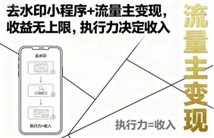 去水印小程序+流量主变现，收益无上限，执行力决定收入-中创网_分享创业项目_互联网资源