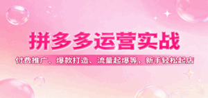 拼多多运营实战，付费推广、爆款打造、流量起爆等，新手轻松起店-中创网_分享创业项目_互联网资源