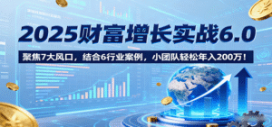 2025财富增长实战6.0，聚焦7大风口，结合6行业案例，小团队轻松年入200万！-中创网_分享创业项目_互联网资源