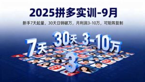 （16008期）2025拼多多实训-9月：新手7天起量,30天日销破万,月利润3-10万,可矩阵复制-中创网_分享创业项目_互联网资源
