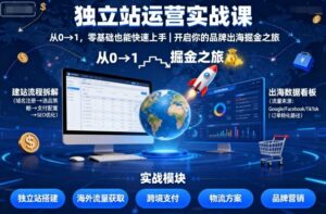 独立站运营实战课，​从0到1，零基础也能快速上手，开启你的品牌出海掘金之旅-中创网_分享创业项目_互联网资源