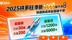 2025拼多多旺季新老店铺——快速低成本起量破千单-中创网_分享创业项目_互联网资源
