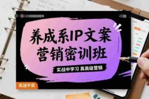 养成系IP文案营销密训班，实战中学习真高级营销-中创网_分享创业项目_互联网资源