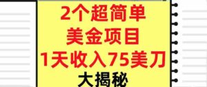 2个超简单美金项目，1天收入75美刀，3分钟学会，内部教程（大揭秘）-中创网_分享创业项目_互联网资源