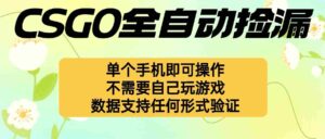（16207期）自动挂机捡漏，不用自己挂机不用玩游戏，一个手机即可操作。新手小白轻…-中创网_分享创业项目_互联网资源
