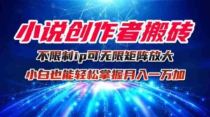 （16209期）小说创作者搬砖玩法，不限制IP简单无脑 可矩阵无限放大小白也能实现轻…-中创网_分享创业项目_互联网资源